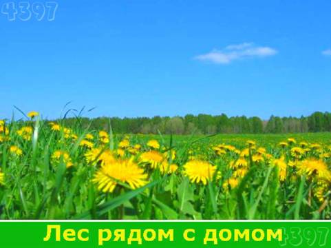 Продаю 1-комн. квартиру - Москва, Открытое шоссе, д.29к6 - база ЦИАН, объявление 1734868